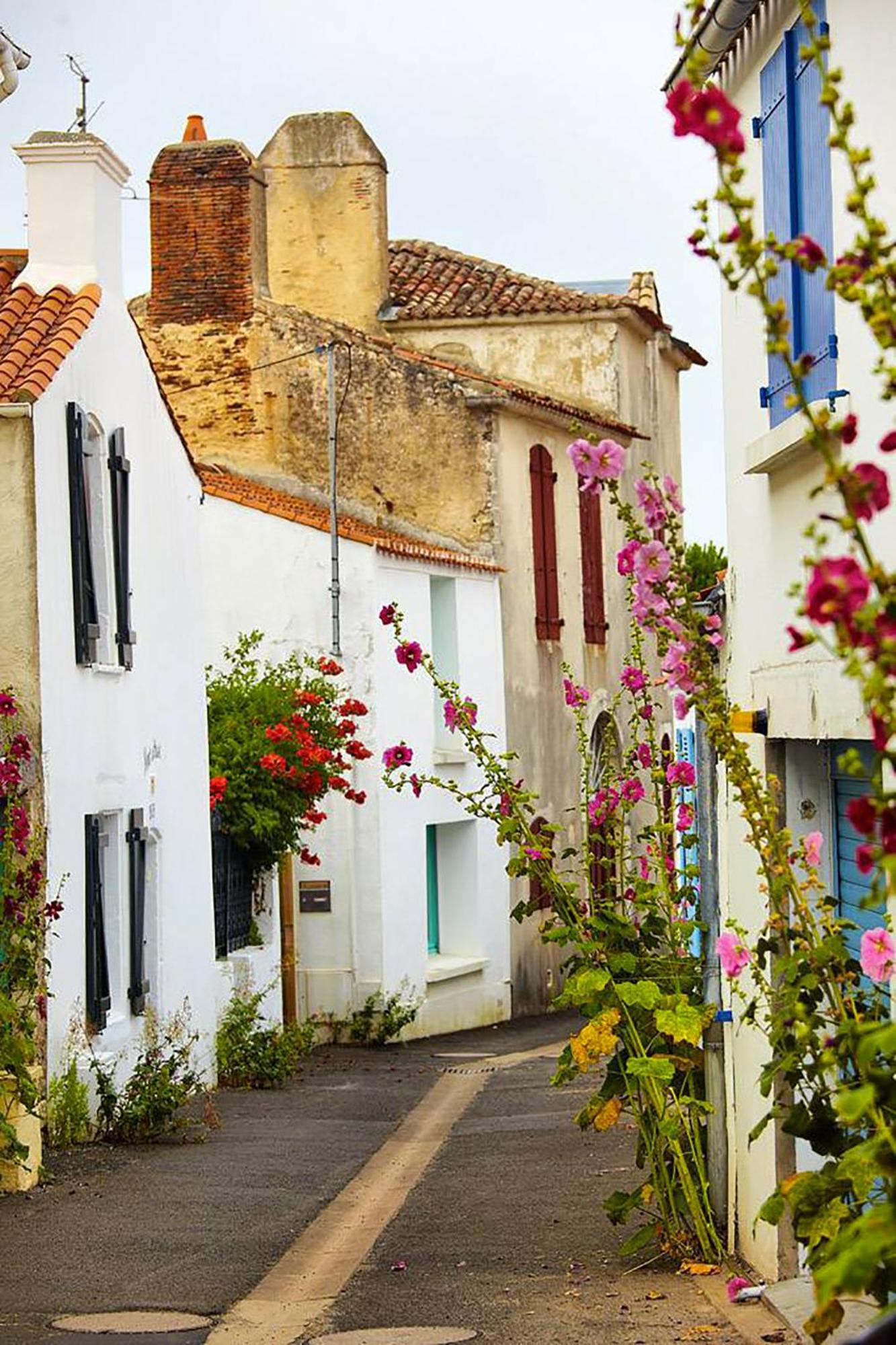 Maison Avec Jardin - Entre Plage Et Riviere Le Fenouiller Bagian luar foto